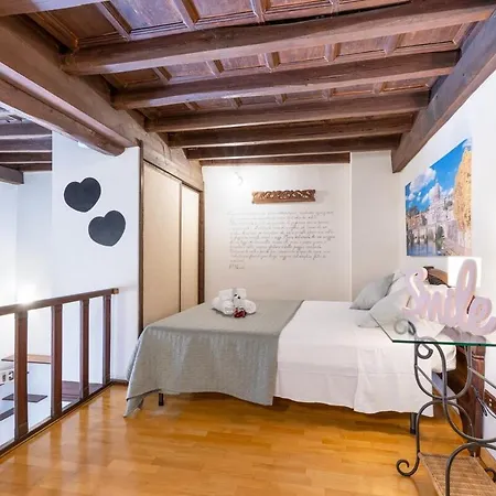 Trastevere Duplex Loft 公寓 罗马